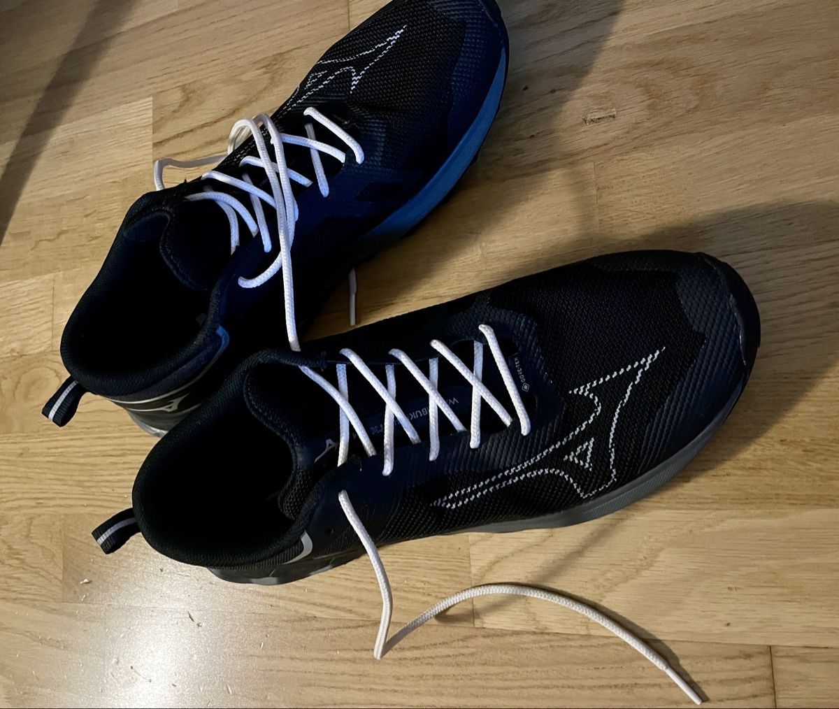 Mizuno Scarpe da uomo: Mizuno Laufschuhe GTX 45 – Usato da Bern venduto da pet_fry9 1