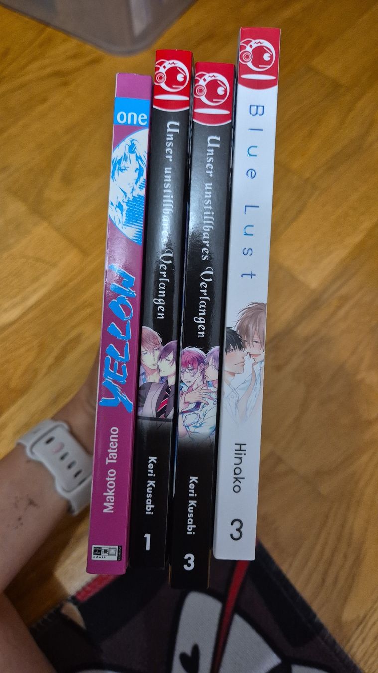 BD: Mangas Div. – D'occasion à Bonaduz par Crypwolffan 4