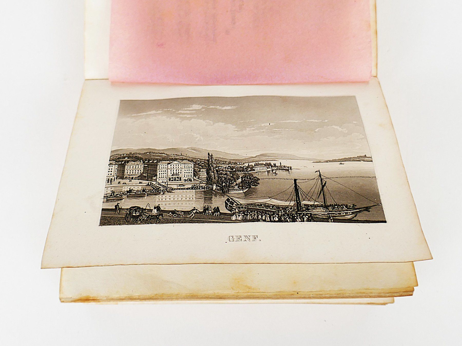 Libri: Buch: Alpenrosen von 1839 – Usato da Urtenen-Schönbühl venduto da Restwert_Schoenbuehl 3