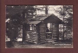 WALD - Blockhaus