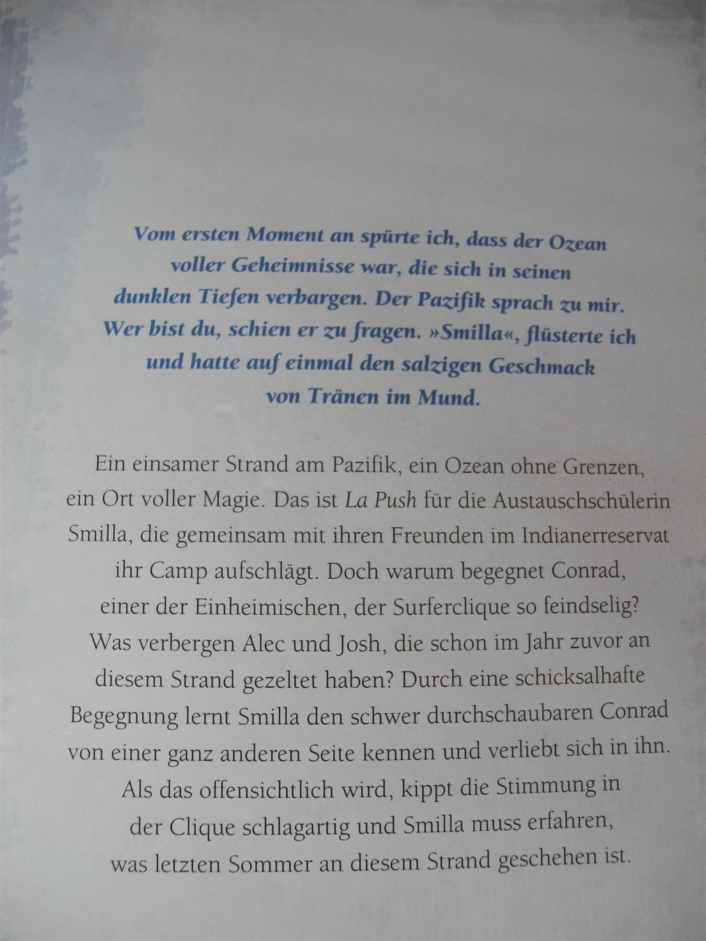 Libri: Antje Babendererde, Indigosommer, Nr.d67 – Nuovo (secondo la descrizione) da Kottwil venduto da Crazyrolf 1