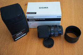 SIGMA 105mm F2,8 DG DN MACRO | Art (Sony-E)