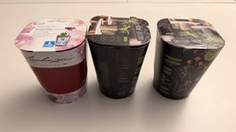 Lechuza MINI-DELTINI 3 Stück Pflanzgefässe
