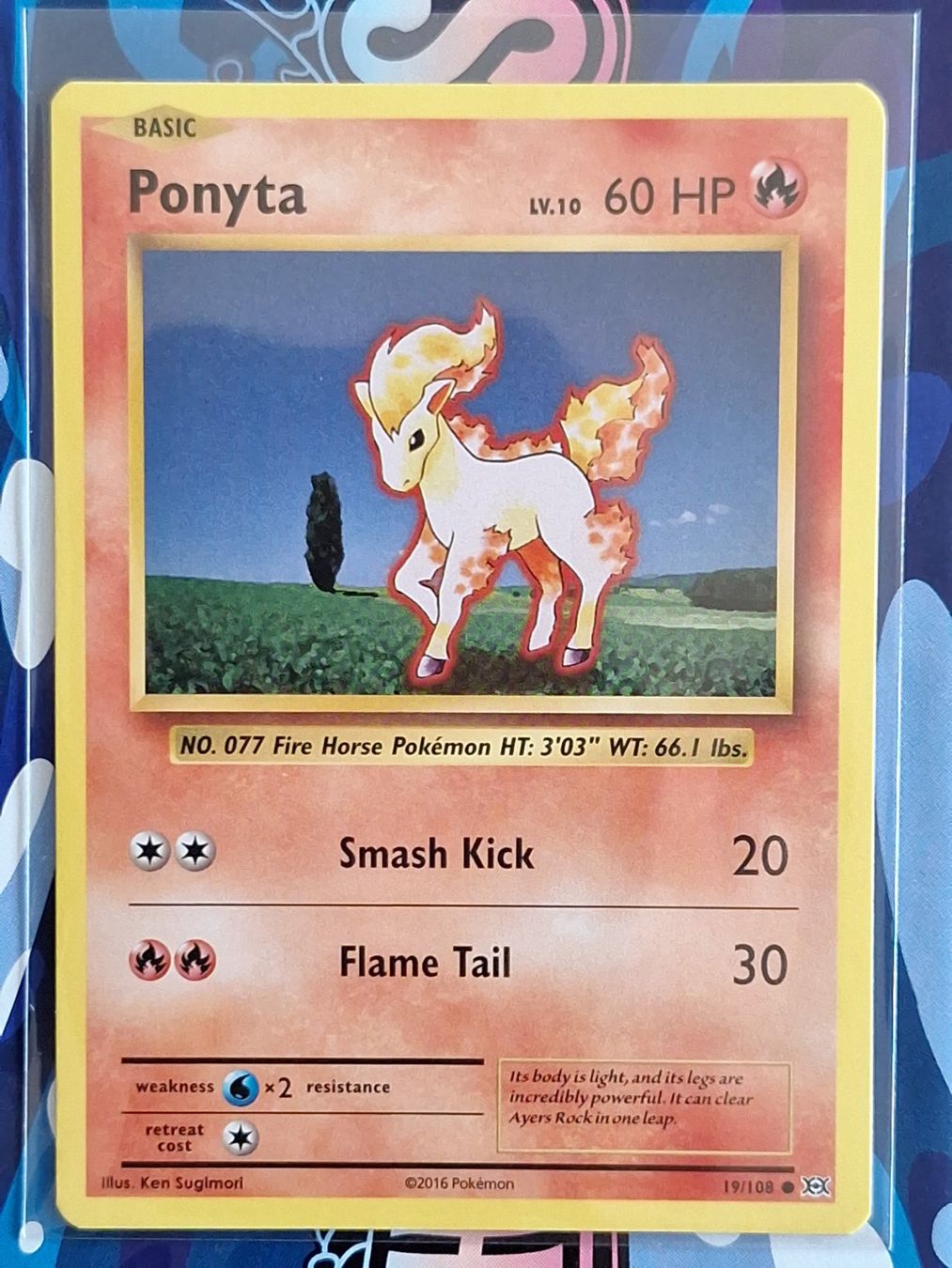 Pokémon Carte collezionabili: Ponyta Ponita - XY Evolutions Pokemon - #7.7 – Usato da Altstätten SG venduto da GGsGameshop