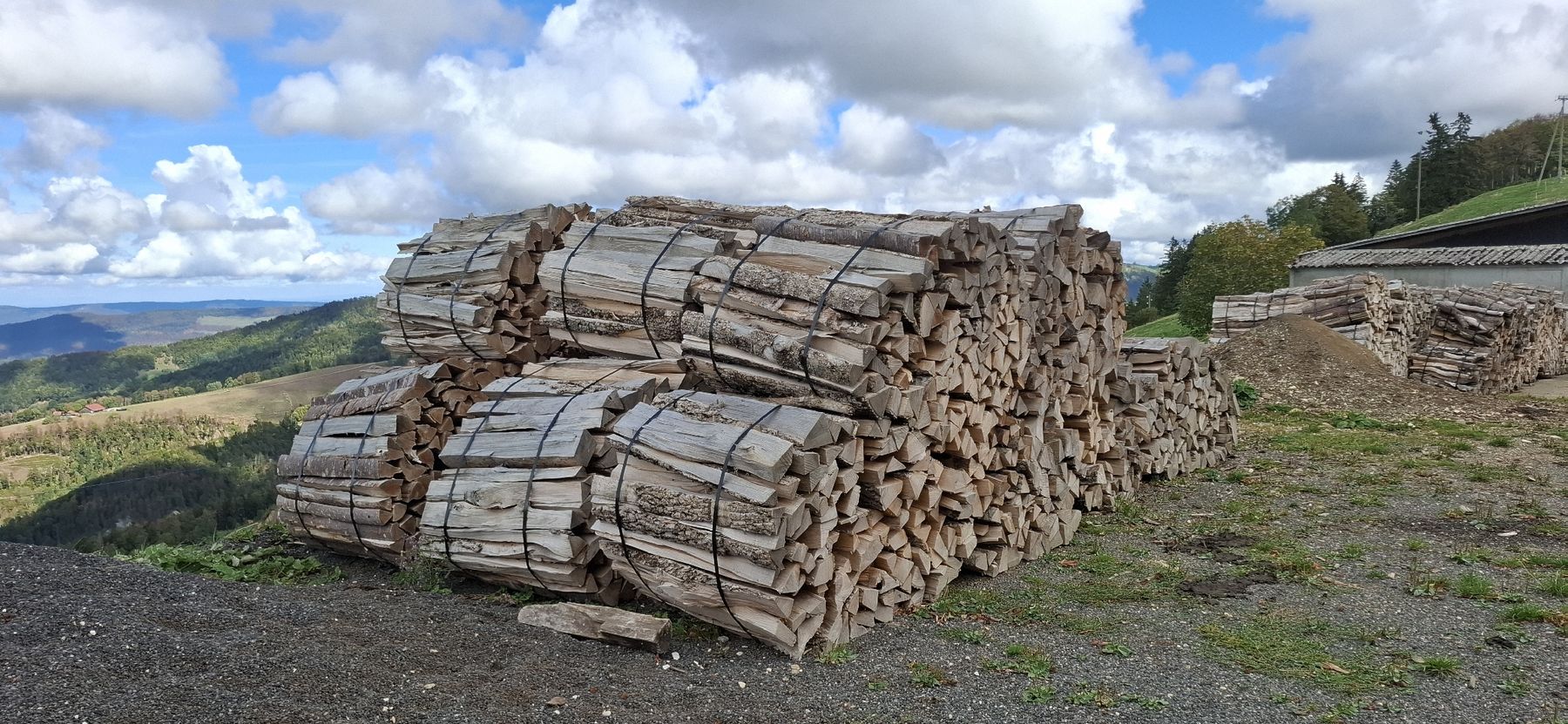 Holzartikel: Brennholz – Neu und originalverpackt aus Gänsbrunnen von Smoto 1