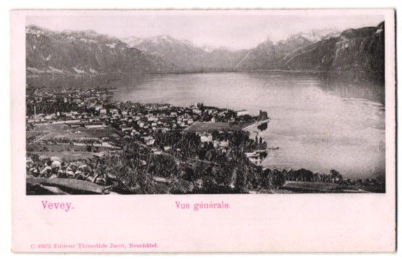 Cartoline postali: Relief-AK Vevey, Vue Générale – Usato da Berlin venduto da bartko-reher