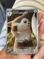 Furret card EN😍✨