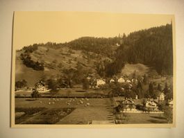 alte Foto von THUN