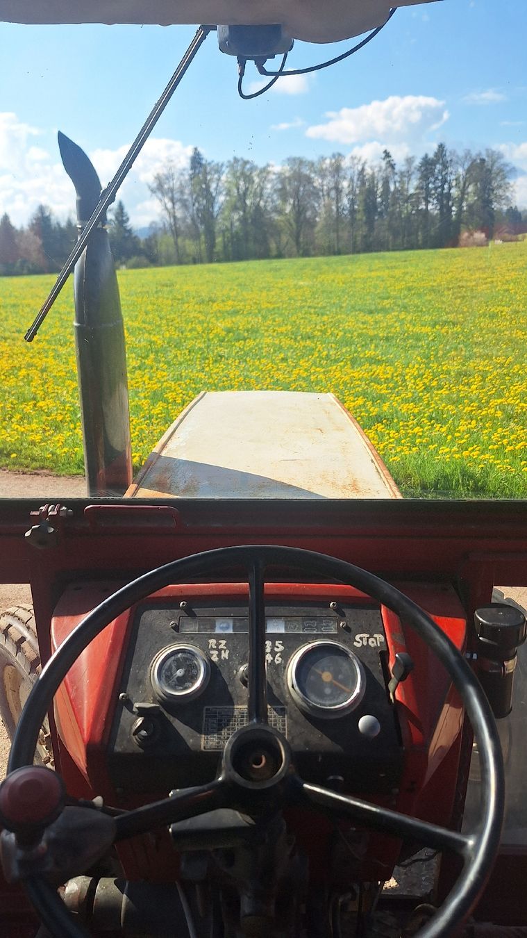 Steyr Trattori: Steyr 870 Oldtimer Traktor - zuverlässig im Einsatz! – Usato da Wolfertswil venduto da steyr8070 3