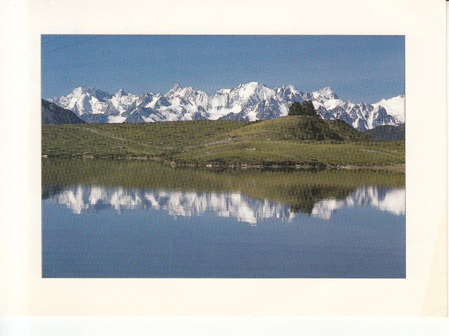 Cartoline postali: Tracouet Lac Noir 1989 – Usato da Bürglen TG venduto da StampGraf