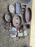 Bonsai-Sammlung zu verkaufen
