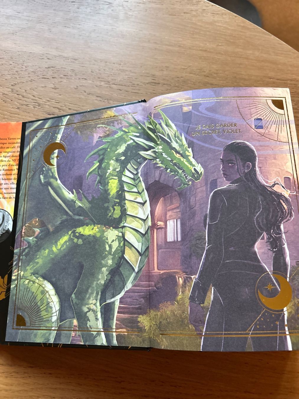 Libri: Livre relié Iron Flame 2 édition spéciale – Nuovo (secondo la descrizione) da Lausanne venduto da noh_gt5x 2