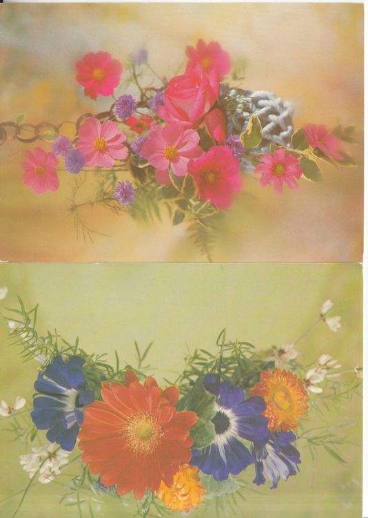 Cartoline postali: Floristik ca. 1970, 7 Karten – Usato da Bürglen TG venduto da StampGraf 3
