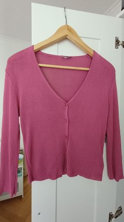 Cardigan rose