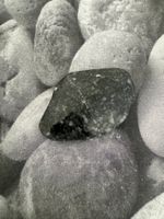 Astrophylite