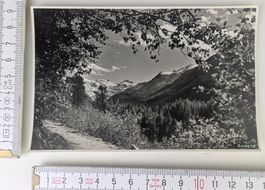 Alte Foto-Karte Roseg-Tal, Pontresina, Graubünden Schweiz