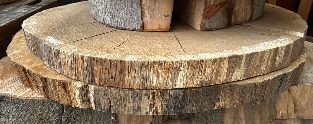 Articoli in legno: Couchtisch, Eiche, Platte, Baumscheibe, Holz, massiv, Unikat – Nuovo (secondo la descrizione) da Meggen venduto da deanstreet 1
