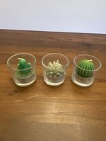 3er Set Kerzen im Glas,Sukkulenten/Kakteen Deko