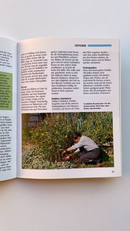 Gartenarbeit rund ums Jahr Gärtnern leicht und richtig Kaufen auf