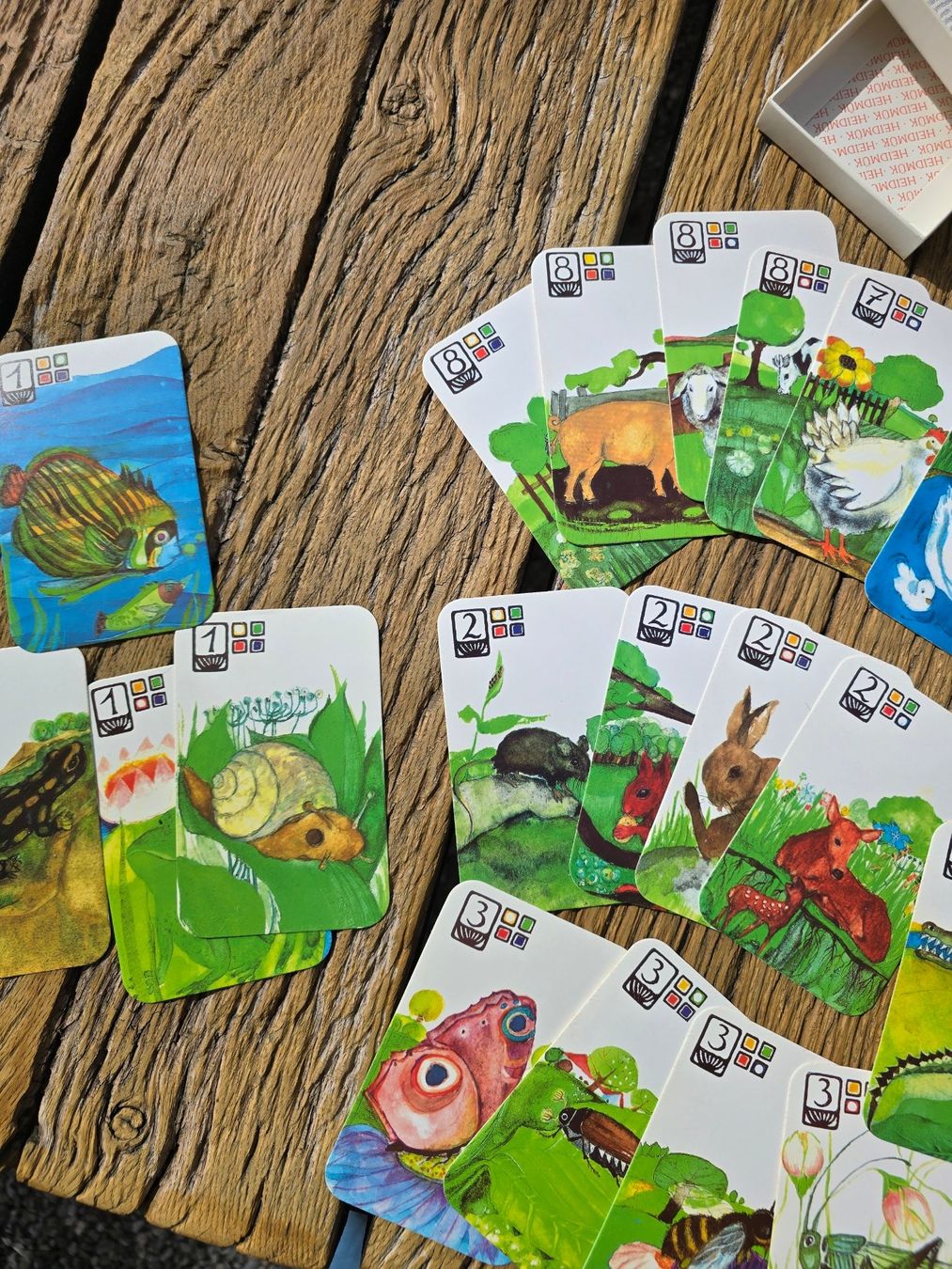 Giochi: Quartett: Kartenspiel Tiere – Usato da Romanshorn venduto da Rachacha 7