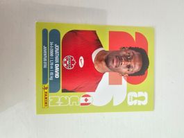 CAN 20