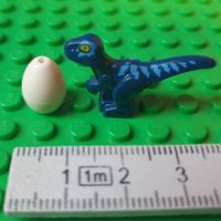 Dinosaurier Baby (blau-hellblau) und Ei