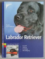 Labrador Retriever - Auswahl Haltung Erziehung Beschäftigung