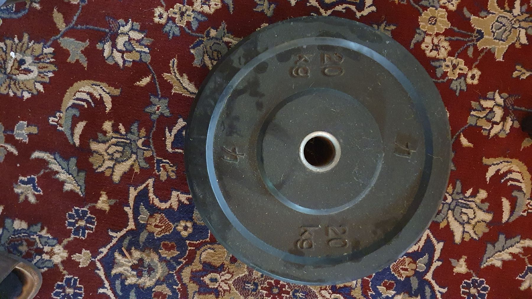 Manubri & Pesi: Bumper plate 2×20 kg – Usato da Zollbrück venduto da m3g_5dlx