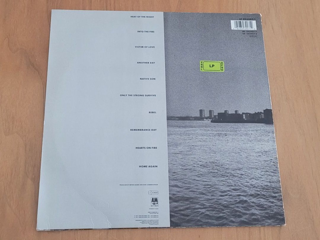Dischi in vinile: LP  Bryan Adams – Usato da Martigny venduto da MZ-67 1