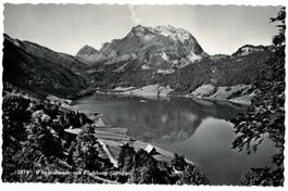 Wägitalersee mit Fluhberg