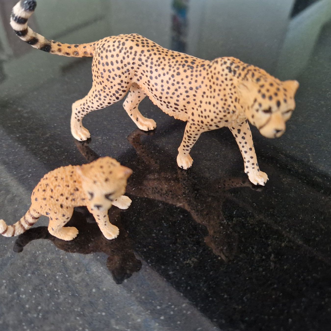 Schleich Statuette: Schleich Gepard, neuwertig – Usato da Gränichen venduto da sunchi07 1