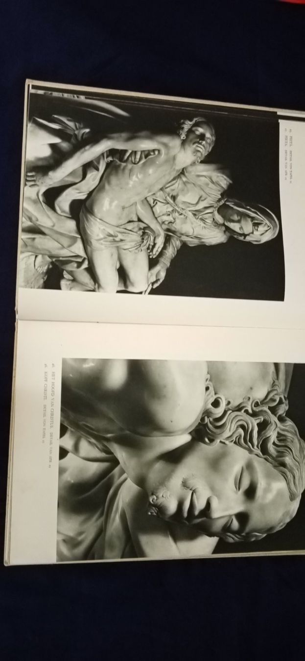 Libri: Michelangelo, Bildband – Usato da Büsingen venduto da Flohminator 7