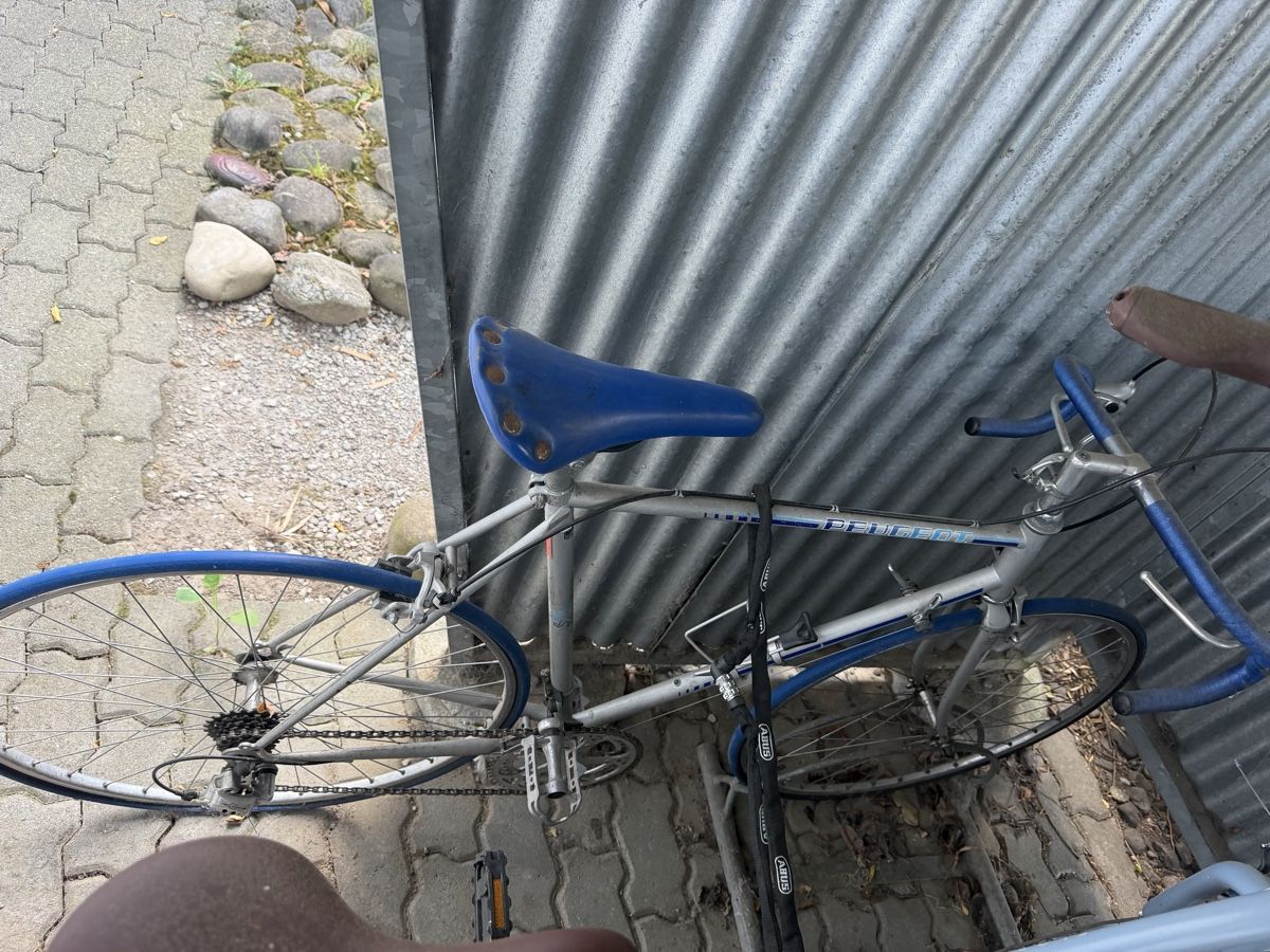 Peugeot Biciclette: Peugeot Rennvelo – Difettoso da Thun venduto da piguni