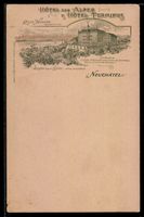 Litho Neuchatel, Hotel des Alpes, Hotel 