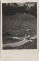 Landwirtschaft/Bauernfamilie 1920 Toggenburg/Appenzell?