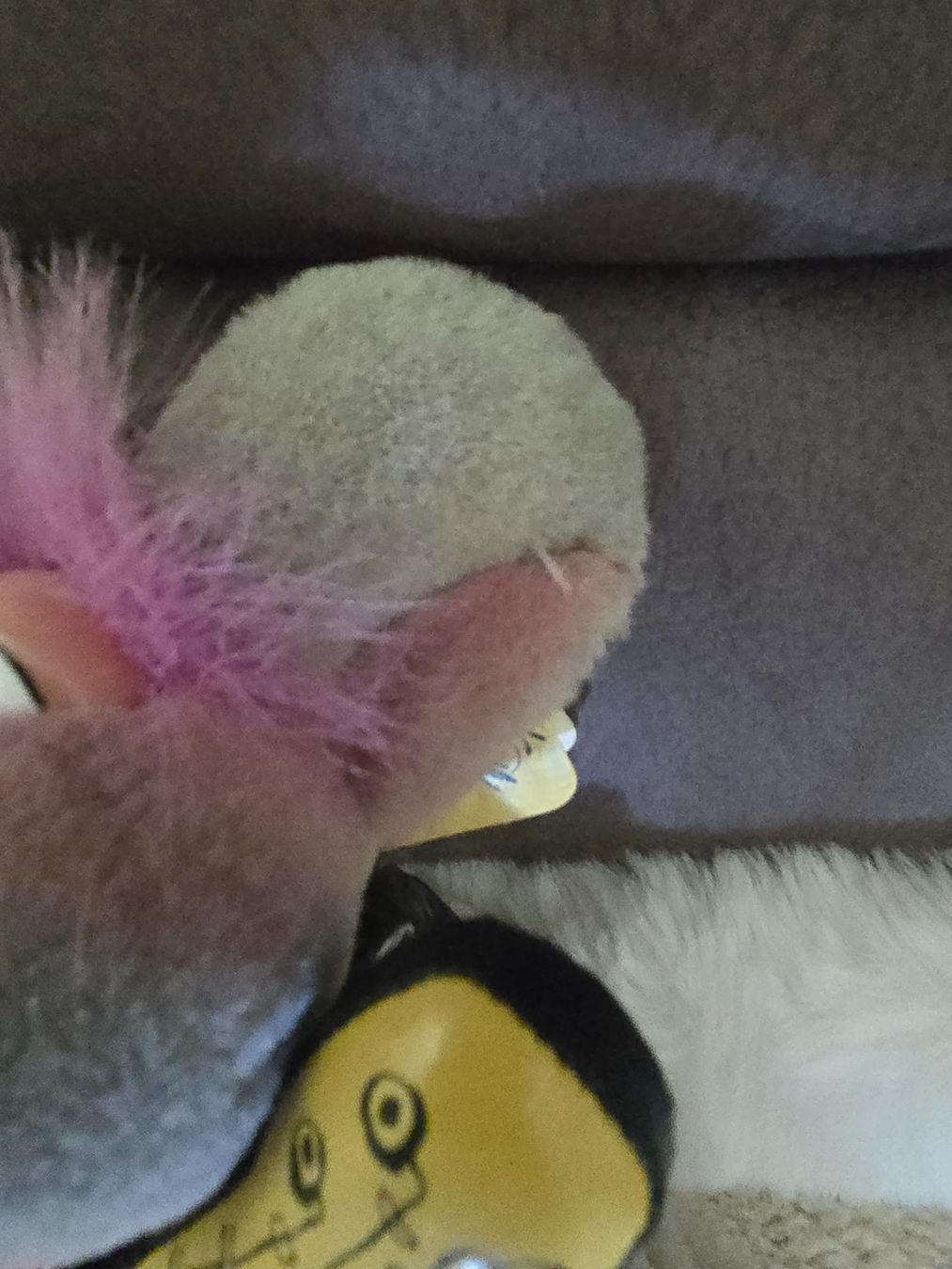 Jouets: Diddl Rocker mit Etikett – D'occasion à Reute AR par angelflower 1