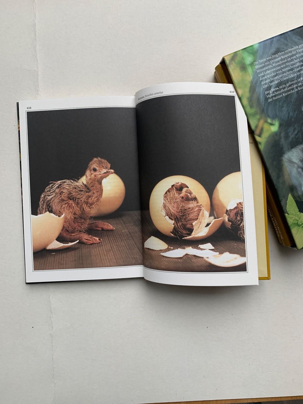 Libri: Zoologische Miniaturen – Nuovo (secondo la descrizione) da Biel-Bienne venduto da hachrig 4