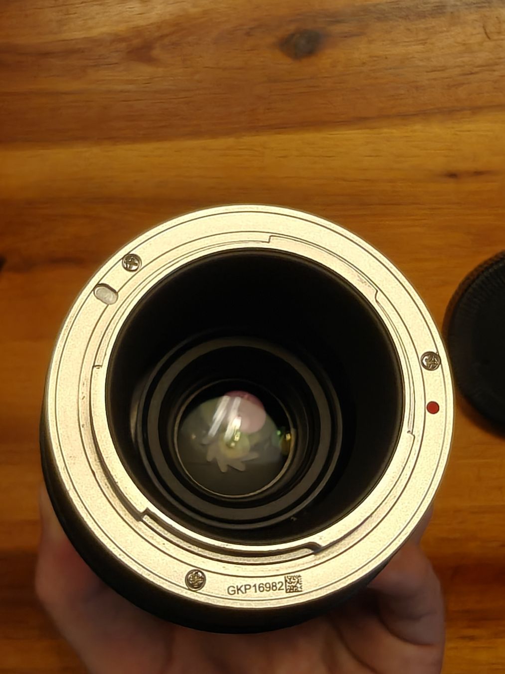 Samyang Objektive: Samyang 100mm f2.8 Macro Sony E-Mount – Gebraucht aus Dietikon von Chilletto 2