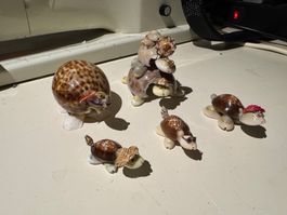 Schildkröten Familie aus Muscheln