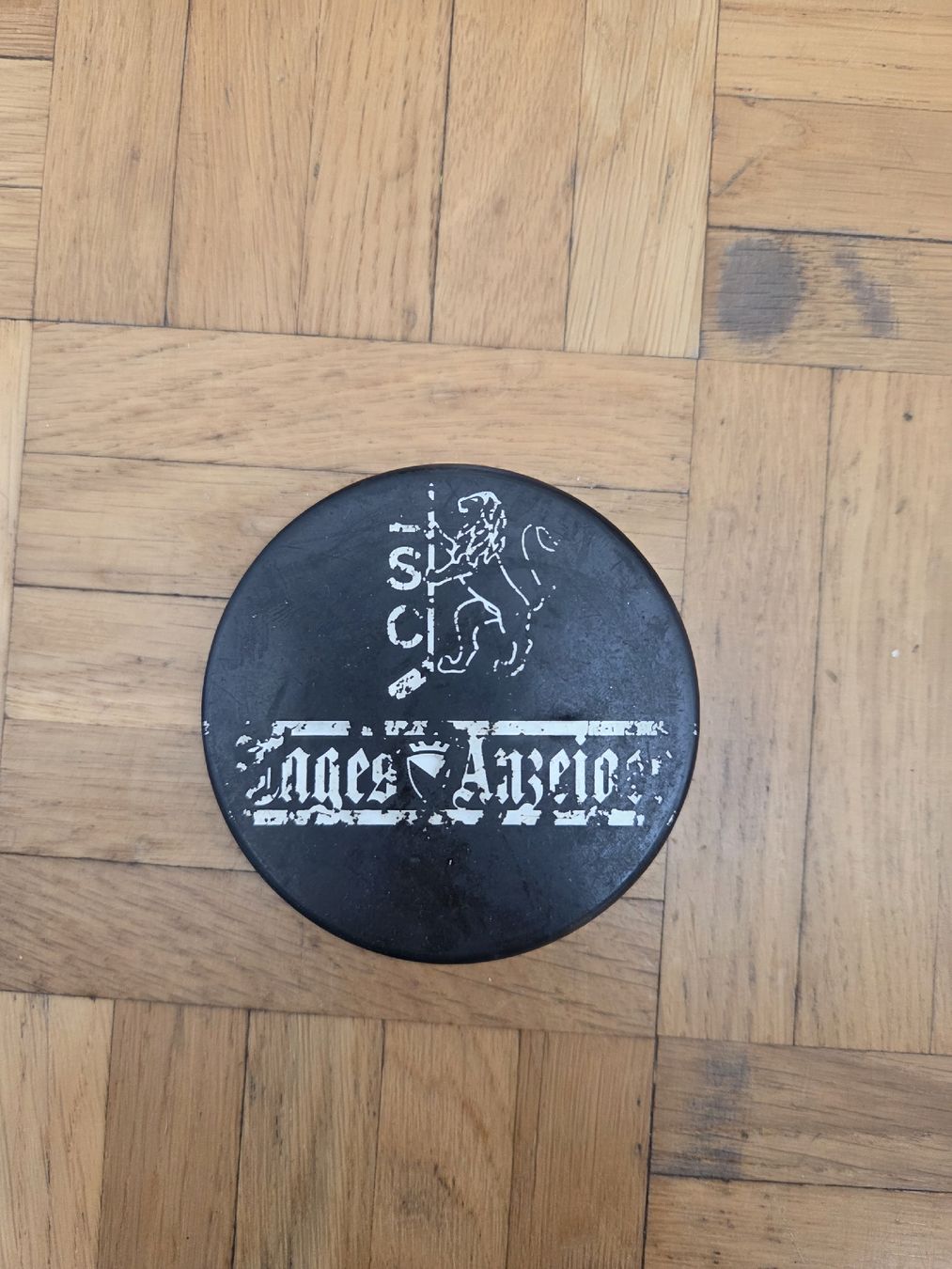 Bälle: ZSC Puck – Gebraucht aus Zürich von Shiva79