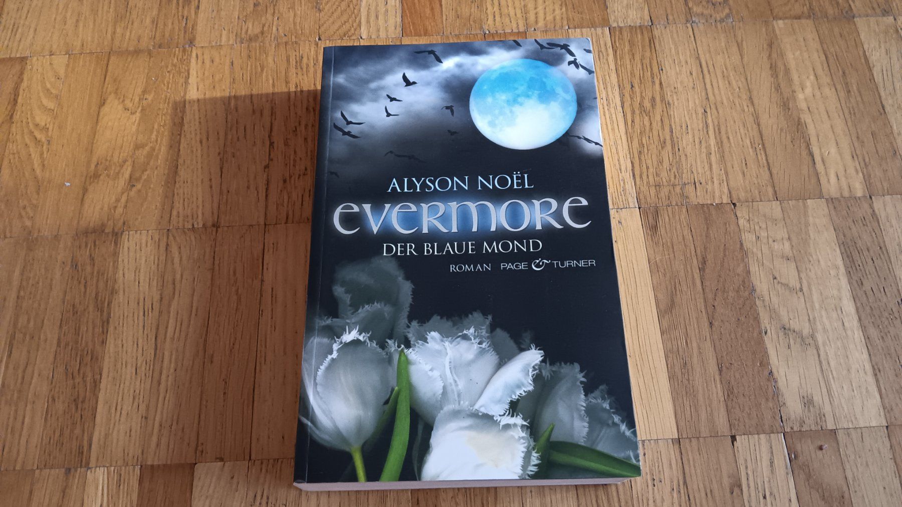 Libri: Alyson Noel, Evermore Reihe, 3 Bände – Usato da Dietikon venduto da Rabia 2