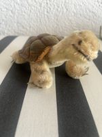Steiff Schildkröte  in  gutem Zustand