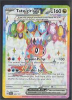 POKÉMON / Tatsugiri EX / Surging Sparks 🇺🇸