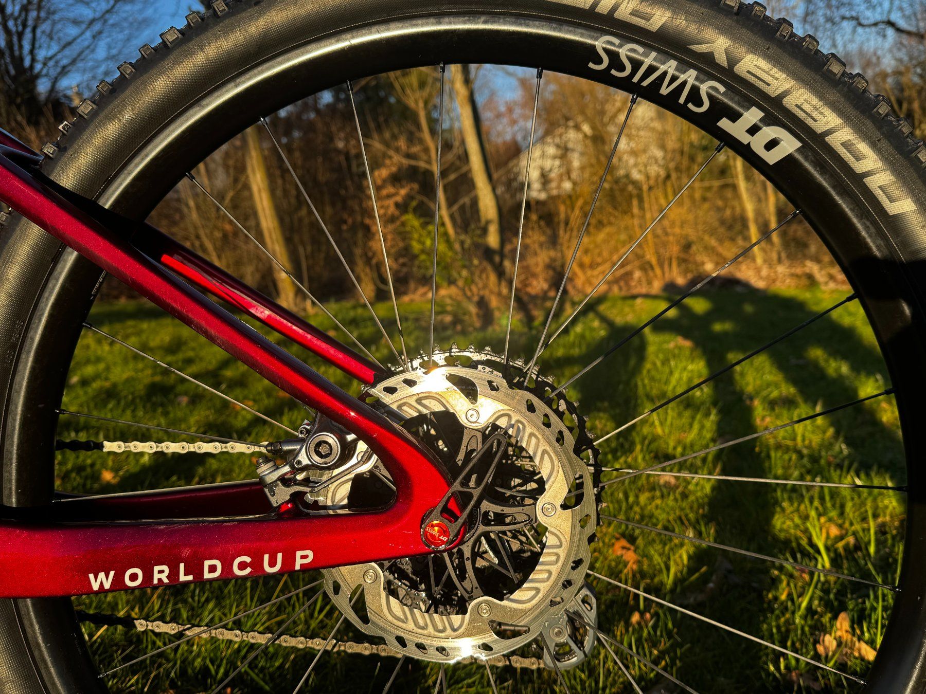 Thömus Velos: Thömus Lightrider Worldcup (Grösse M) – Gebraucht aus Bettlach von TopGun_61 4