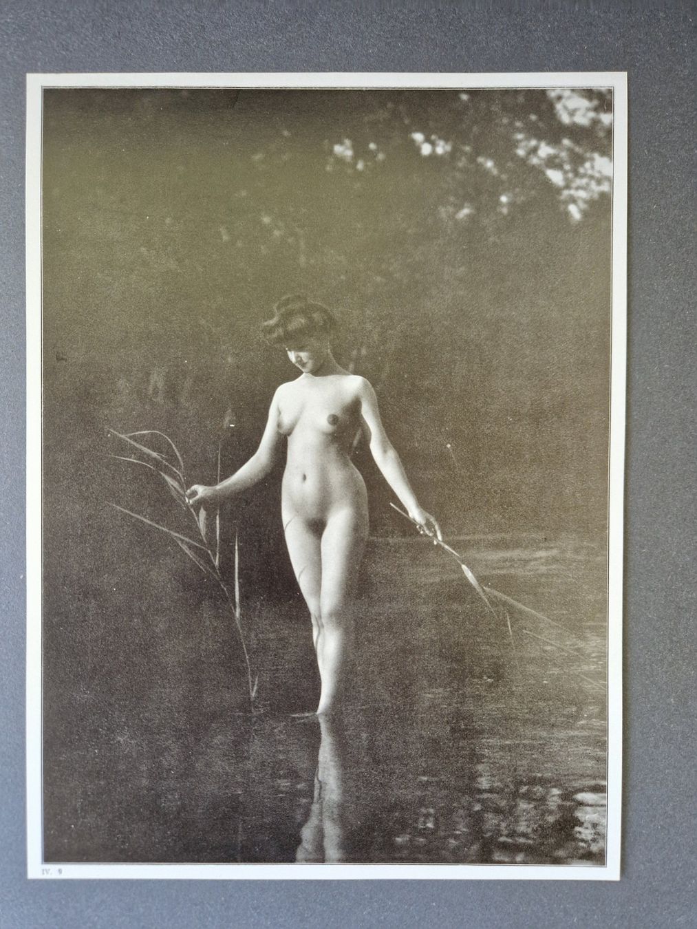 Libri: Akt Jugendstil Eva im Paradis – Usato da Mörschwil venduto da antiksalon21 3