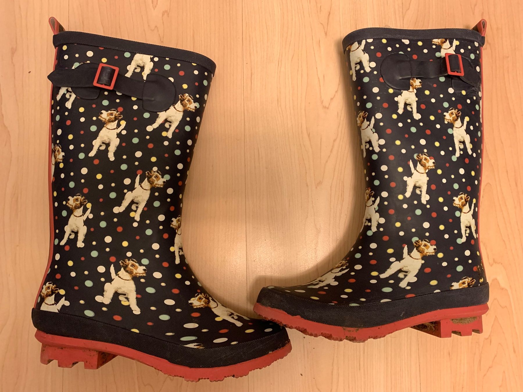Scarpe da donna: Gummistiefel, Gr. 37 Hunde Muster – Usato da Ettingen venduto da evs_6w9m 1