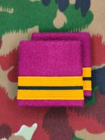  Schulterpatten Ord. 1995 Oberstleutnant Set