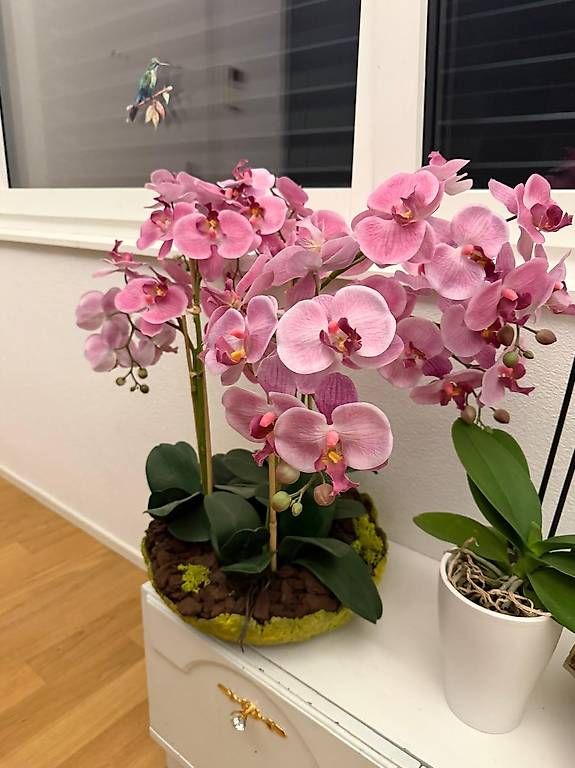 Tutte le decorazioni: 3 grosse Schalen mit künstlichen Orchideen – Nuovo (secondo la descrizione) da Luzern venduto da Brokiland 2