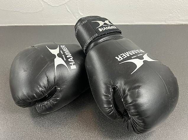 Sacchi da boxe: Boxsack inkl. Boxhandschuhe – Usato da Egliswil venduto da Fiji007 1