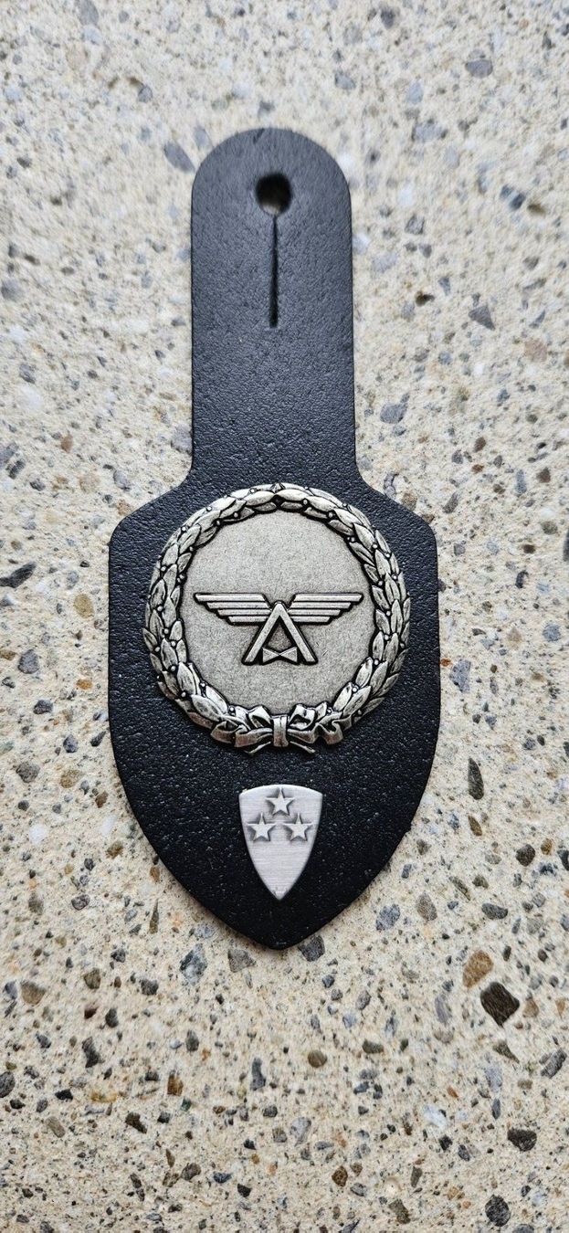 Schweizer Armee Placchette & Badge: *** Brustanhänger mit Spez. Abzeichen *** – Usato da Riedholz venduto da fr_sIruP